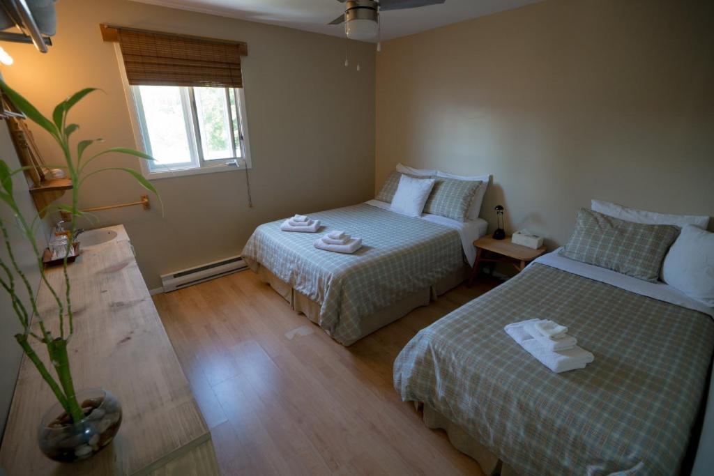 Le Goeland Hotell Tadoussac Rom bilde